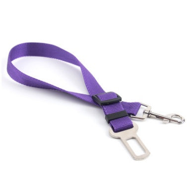 Polyester Dog Leash