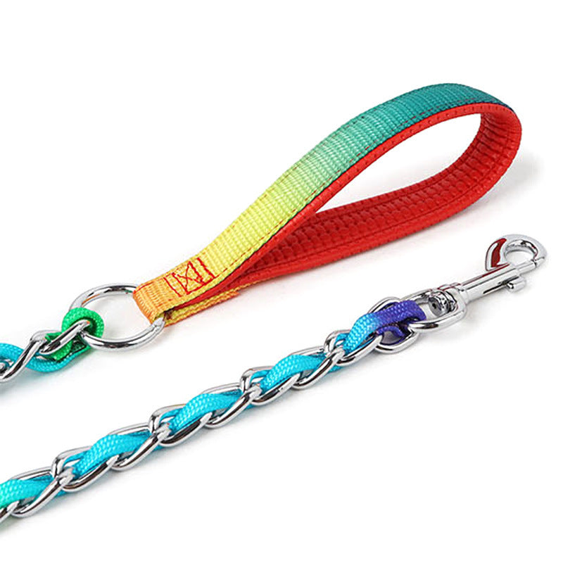 Golden Dog Leash Metal