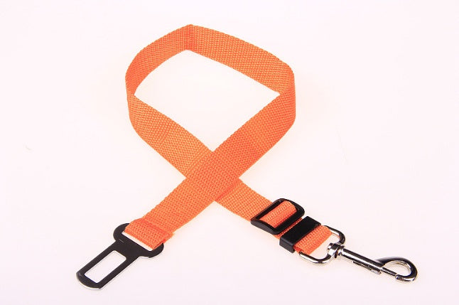 Polyester Dog Leash