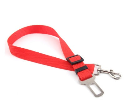 Polyester Dog Leash