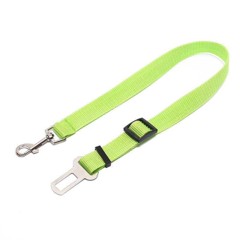 Polyester Dog Leash