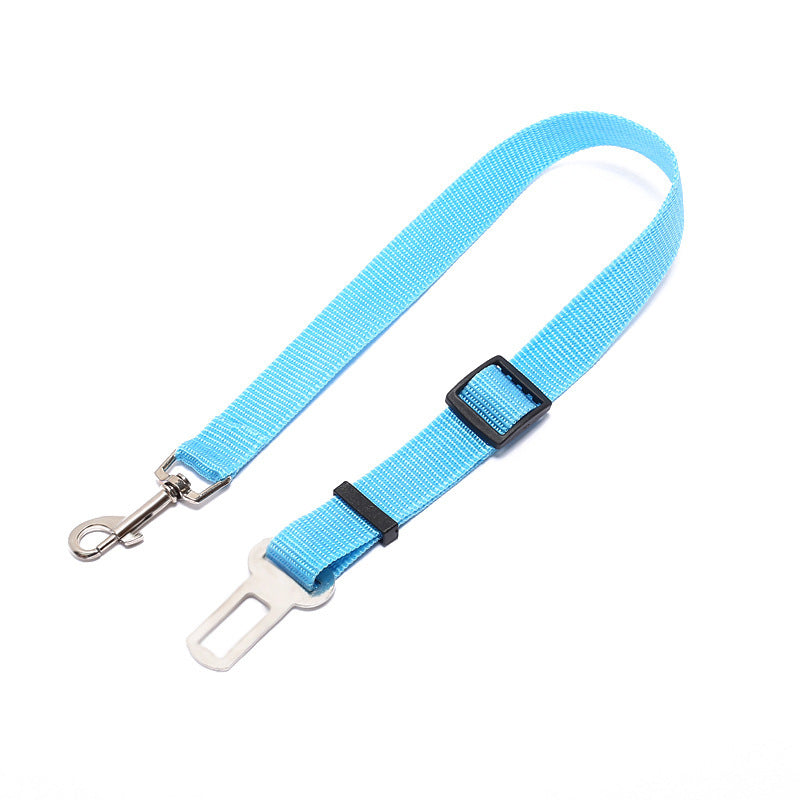 Polyester Dog Leash