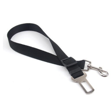 Polyester Dog Leash