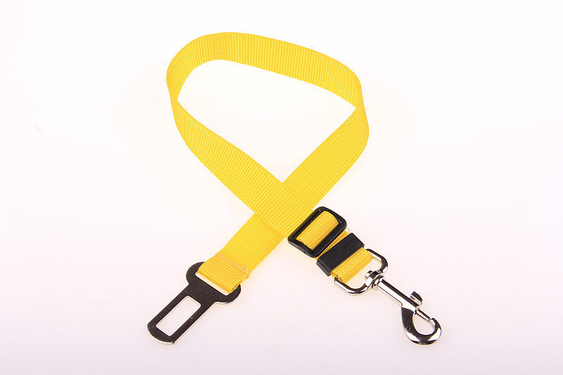 Polyester Dog Leash