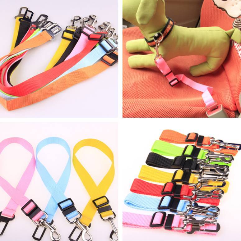 Polyester Dog Leash